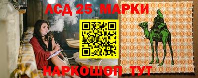 mdpv Моздок