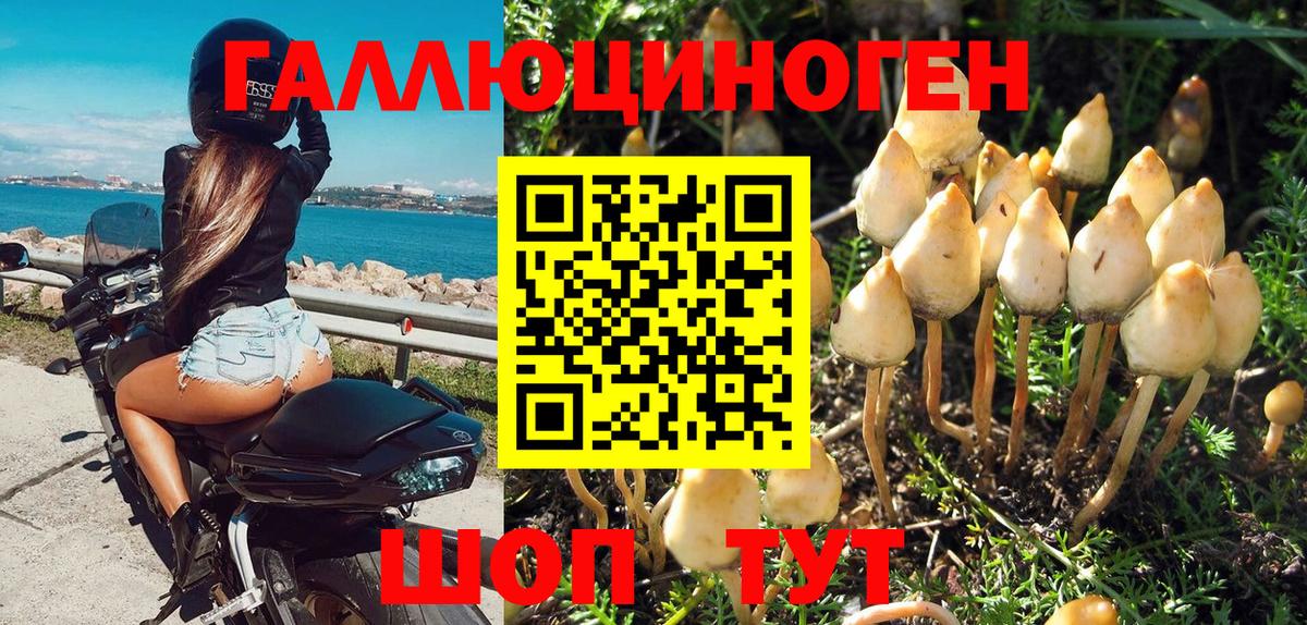 Тосно  Псилоцибиновые грибы мухоморы  сколько стоит  Галлюциногенные грибы Cubensis  Вход с VPN 
